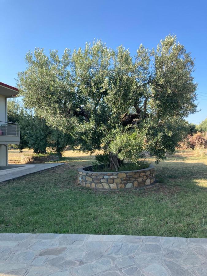 Villa Giannoula Γερακινή Εξωτερικό φωτογραφία
